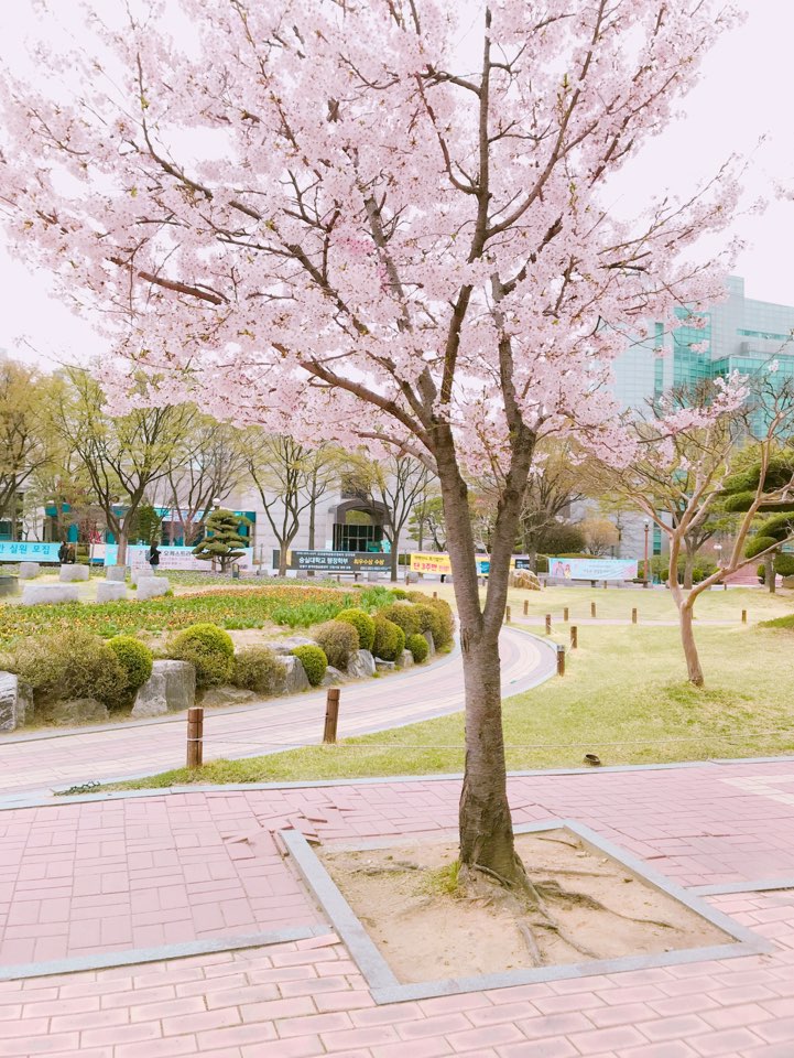 KakaoTalk_20190410_221912422.jpg
