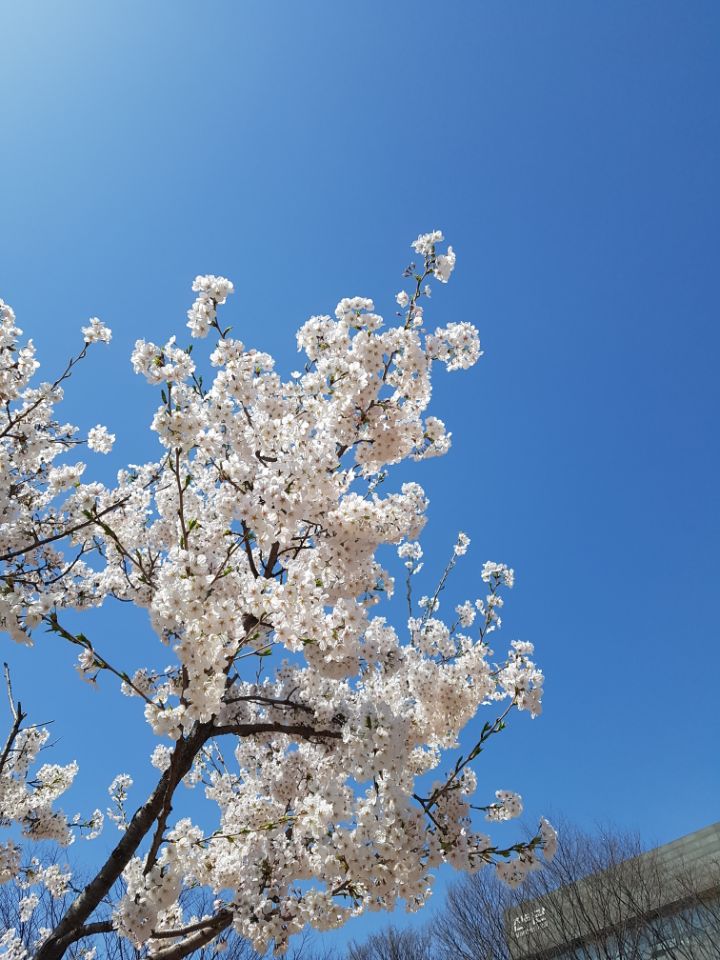KakaoTalk_20180612_215653249.jpg